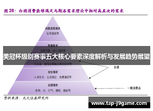 美冠杯级别赛事五大核心要素深度解析与发展趋势展望